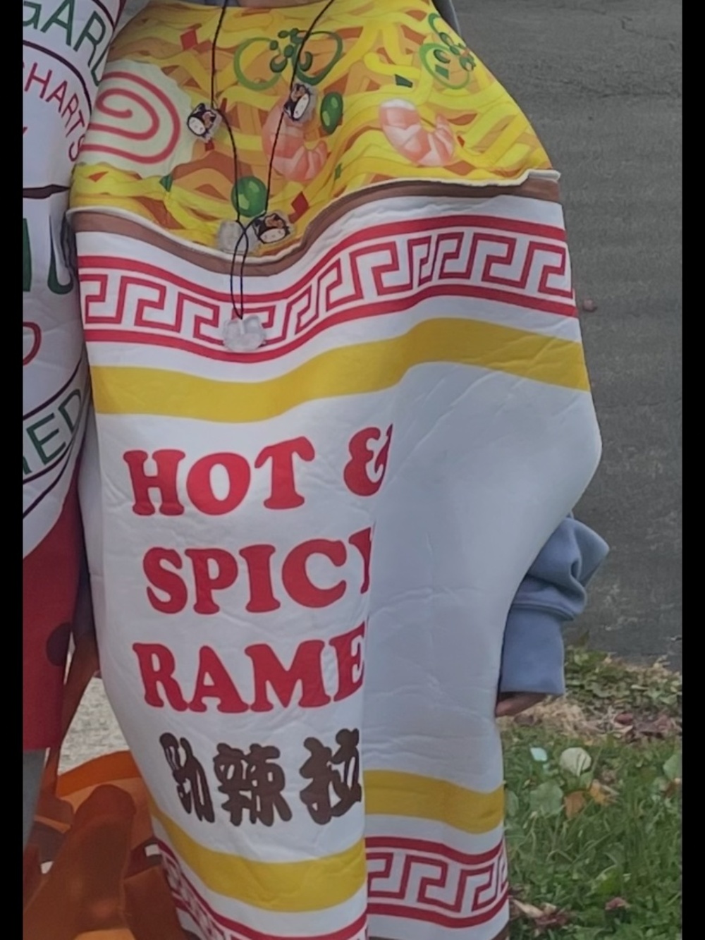 Noodle costume ( one size)